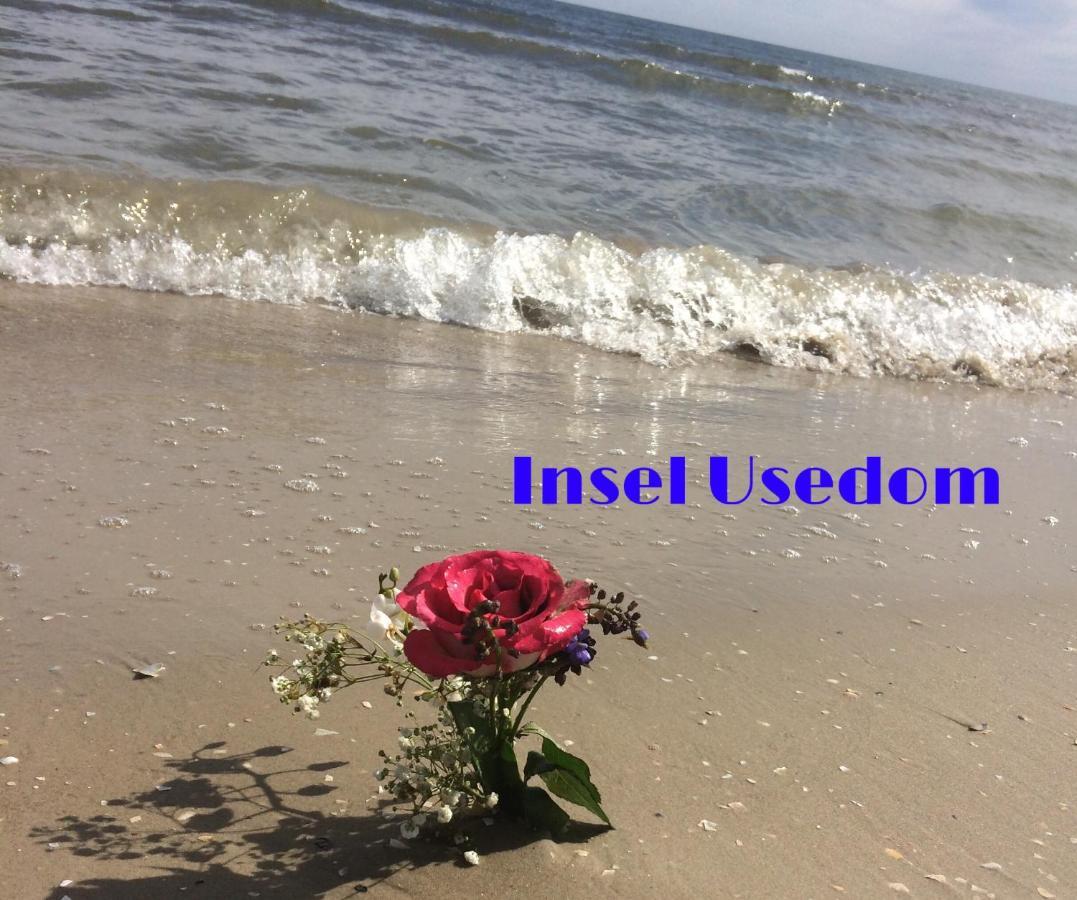 Ferienwohnung Mit Terrasse - Insel Usedom 特拉森海德 外观 照片