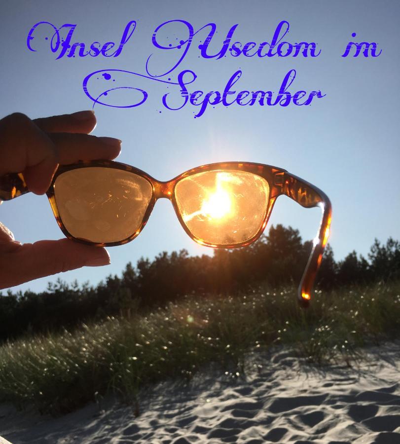 Ferienwohnung Mit Terrasse - Insel Usedom 特拉森海德 外观 照片
