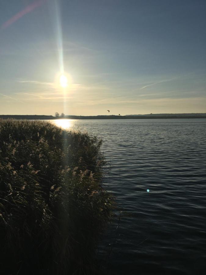 Ferienwohnung Mit Terrasse - Insel Usedom 特拉森海德 外观 照片