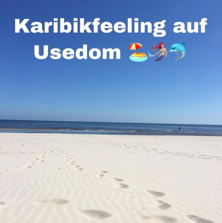 Ferienwohnung Mit Terrasse - Insel Usedom 特拉森海德 外观 照片