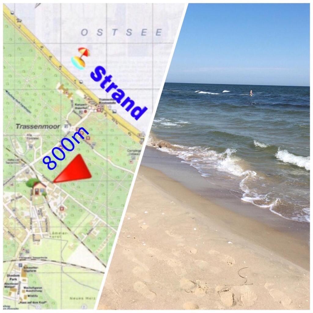 Ferienwohnung Mit Terrasse - Insel Usedom 特拉森海德 外观 照片
