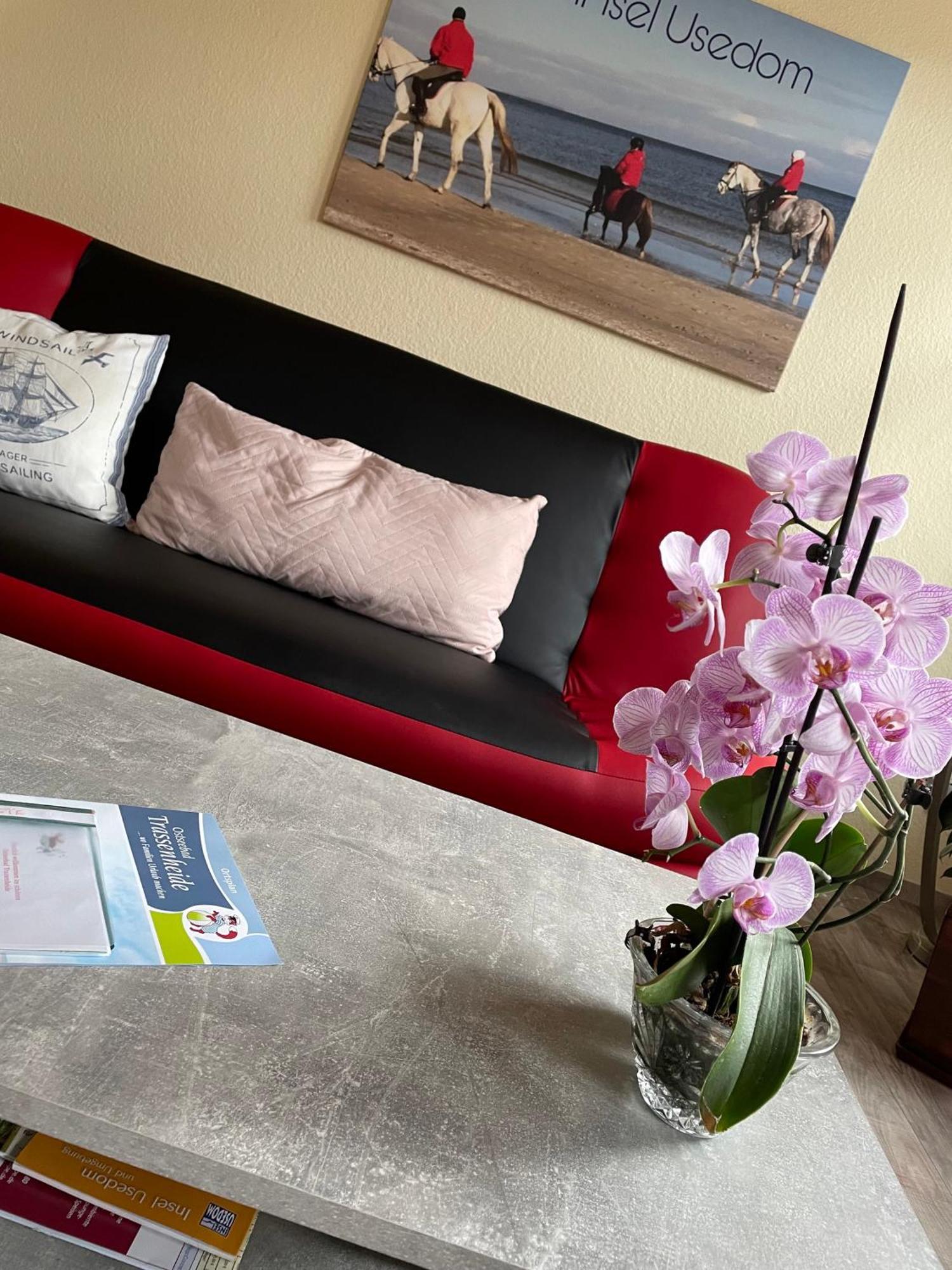 Ferienwohnung Mit Terrasse - Insel Usedom 特拉森海德 外观 照片