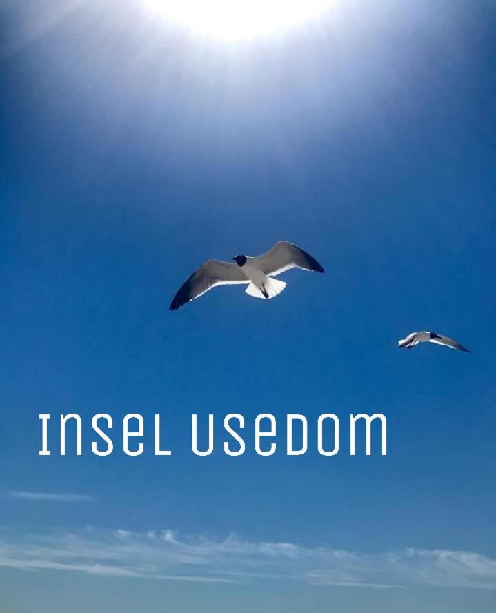 Ferienwohnung Mit Terrasse - Insel Usedom 特拉森海德 外观 照片